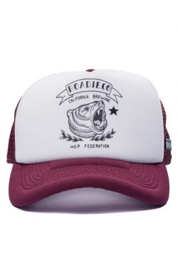 Boné Trucker Roadie California