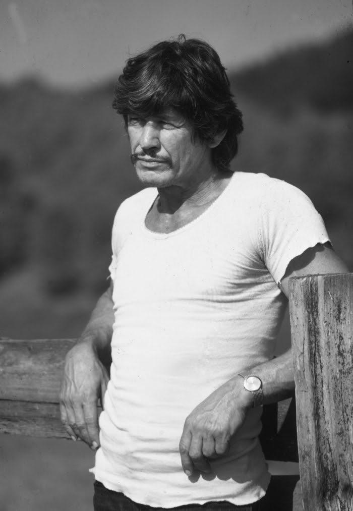 Bigode Charles Bronson